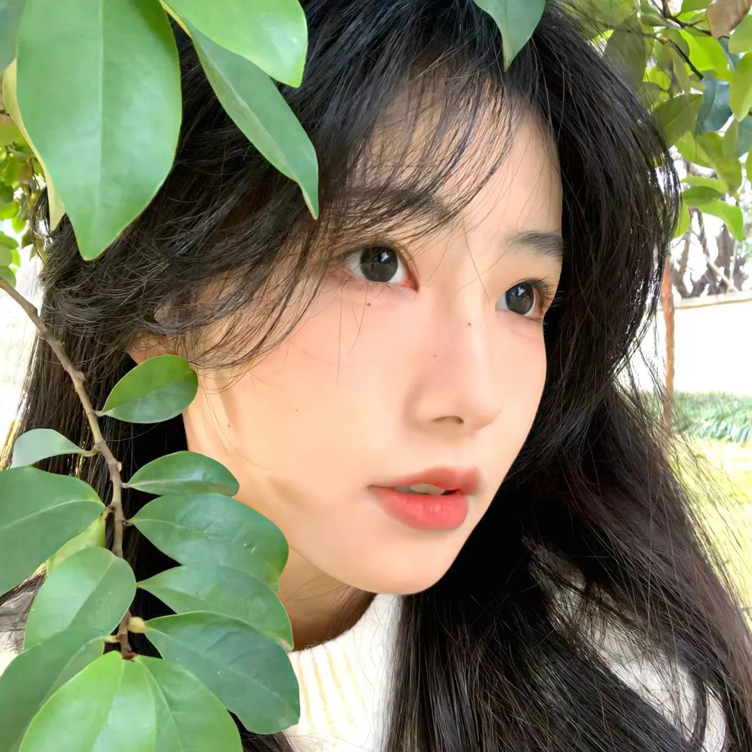 绅士的天启同盟