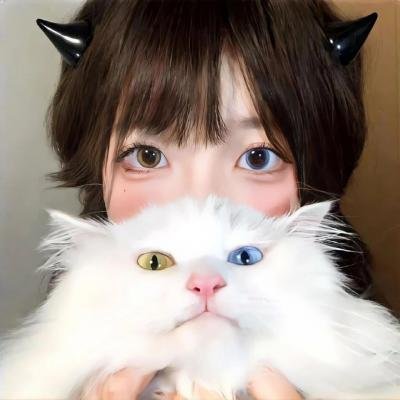 顾总追婚夫人哪里跑